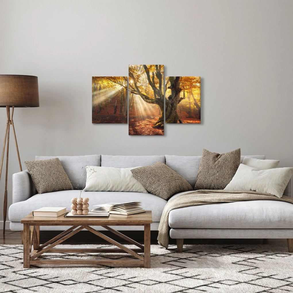 Tablou - Lumina de toamnă (90x60 cm)