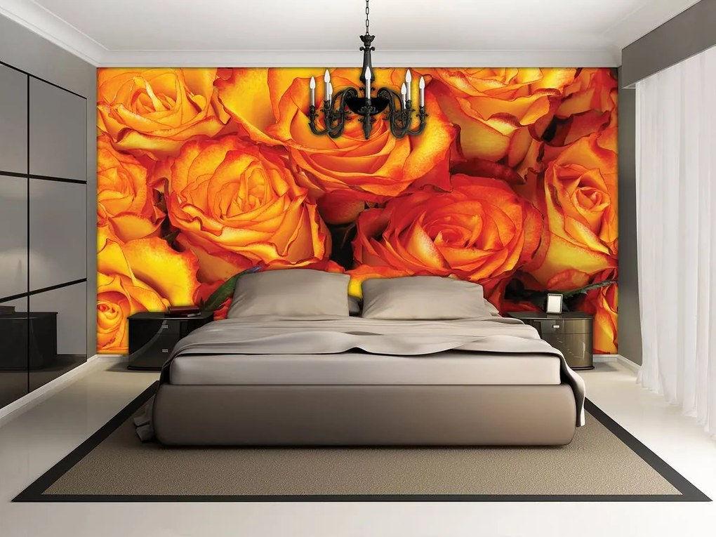 Fototapet - Trandafiri (152,5x104 cm), în 8 de alte dimensiuni noi