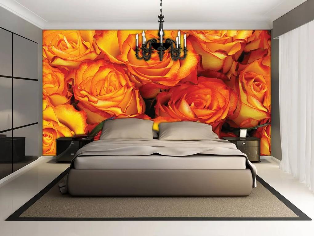 Fototapet - Trandafiri (254x184 cm), în 8 de alte dimensiuni noi