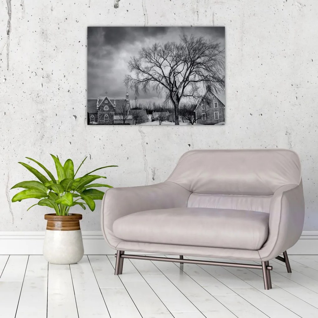 Tablou cu sat alb negru (70x50 cm)