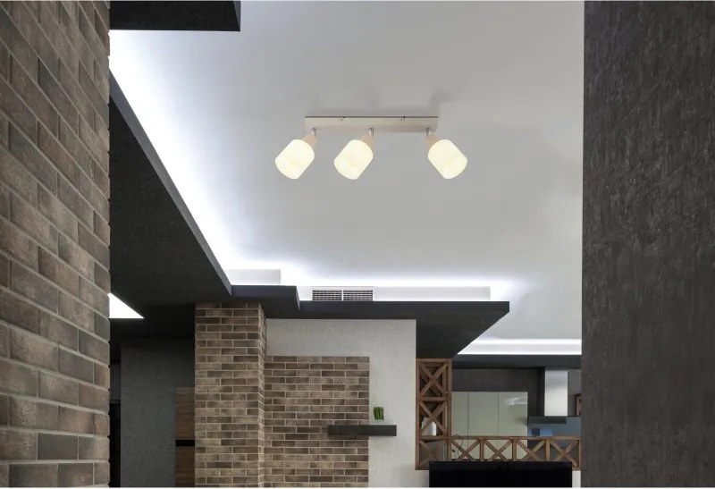 Plafoniera stil minimalist TRENT 3L