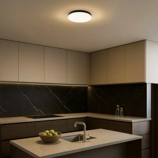 LED plafonieră baie MAYA LED/13W/230V IP44 negru cu senzor