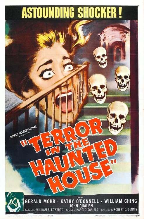 Ilustrație Terror In Haunted House