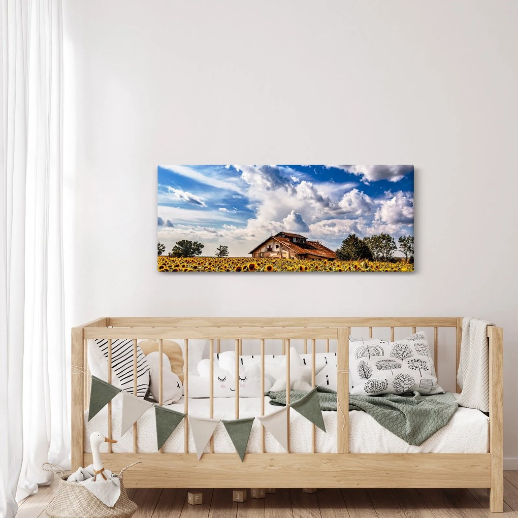 Tablou cu câmp de floarea soarelui (120x50 cm)