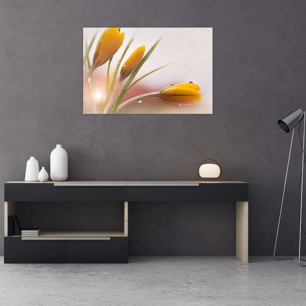 Tablou - Flori de primăvară (90x60 cm)