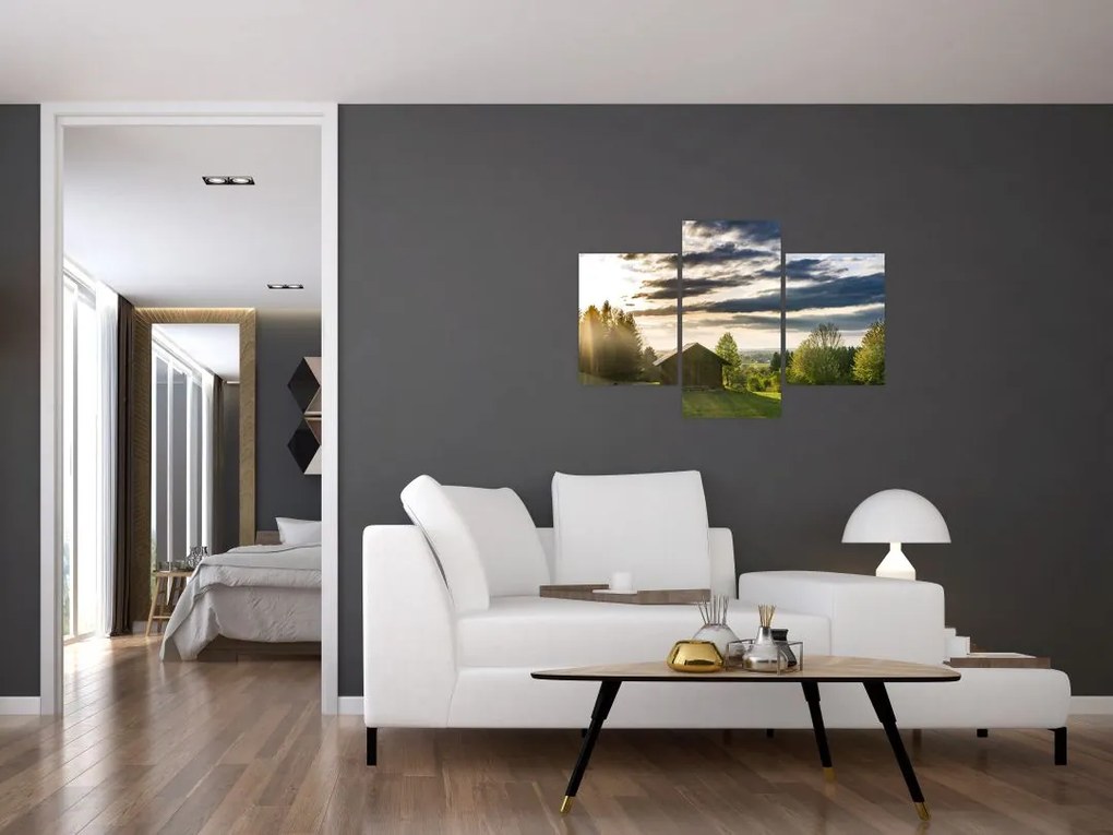 Tablou cu cabana pe luncă (90x60 cm)