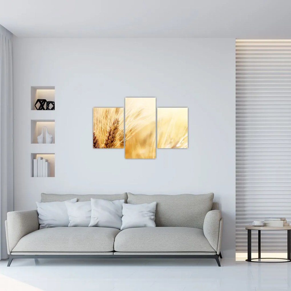 Tablou- detaliu cu (90x60 cm)
