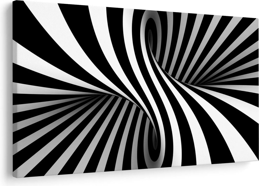 Tablou abstract cu dungi de zebră (90x60 cm)