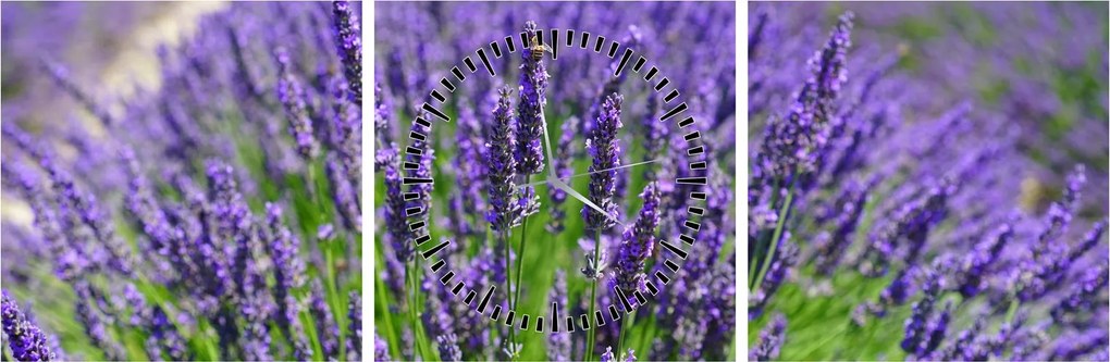 Tablou - lavanda (cu ceas) (90x30 cm)