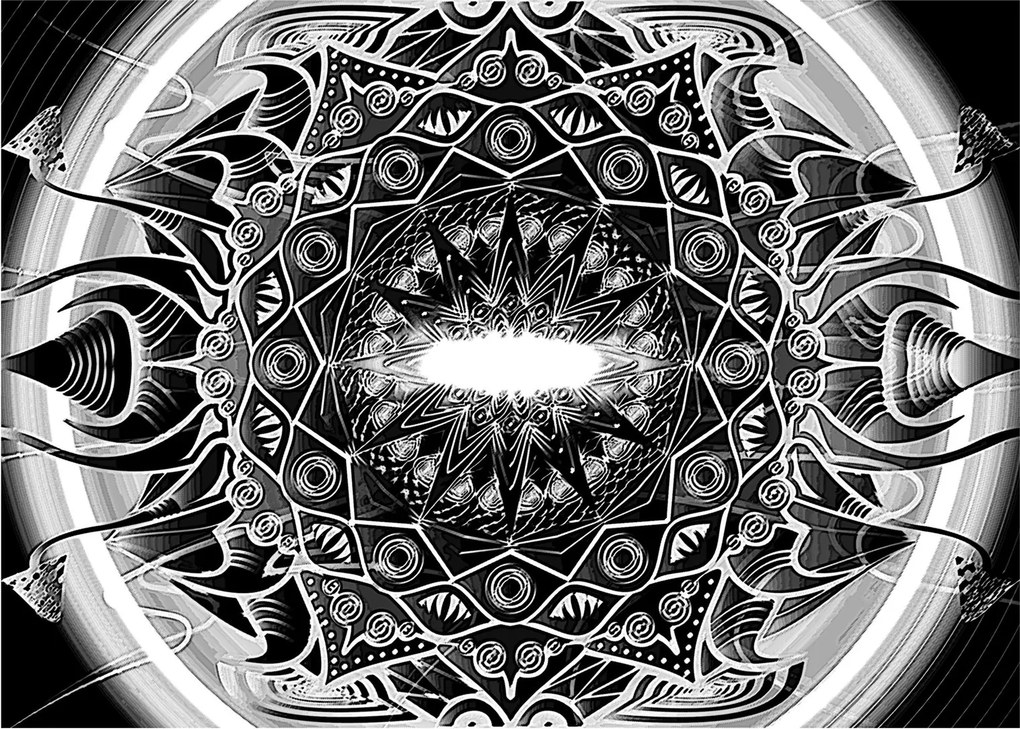 Tablou pe sticlă cu ornamente alb negre (70x50 cm)