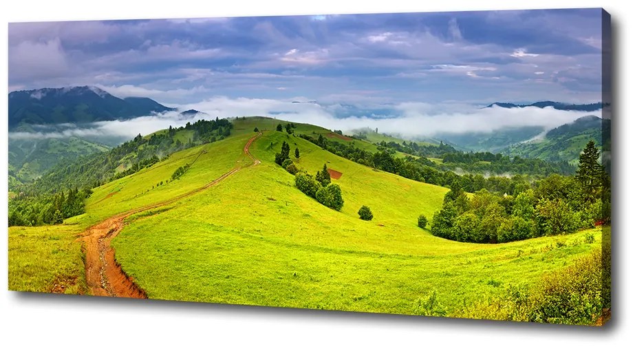 Pictură pe pânză Dealuri verzi