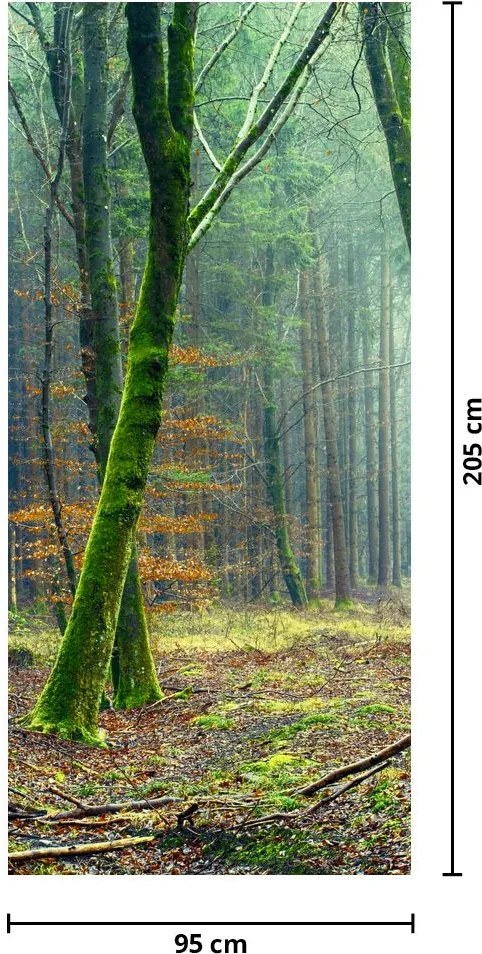 Fototapet pentru ușă - Pădurea (95x205cm)