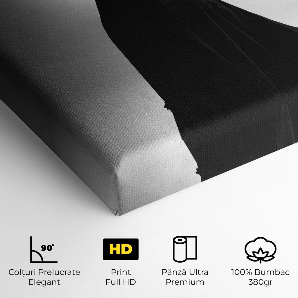 Tablou Canvas, 40x60cm, Dormitor si Living, Femei, Siluete, Full Shot Dancer