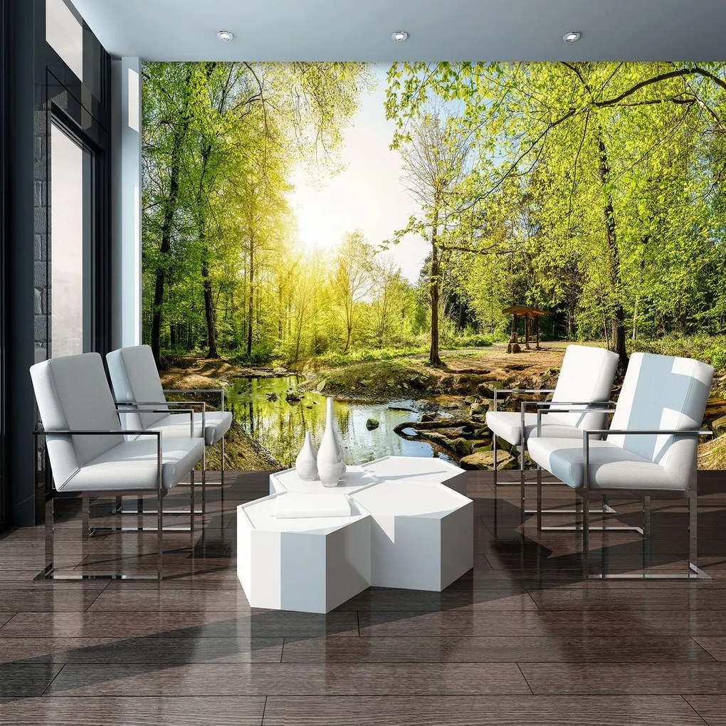 Fototapet - Pădurea verde (152,5x104 cm)