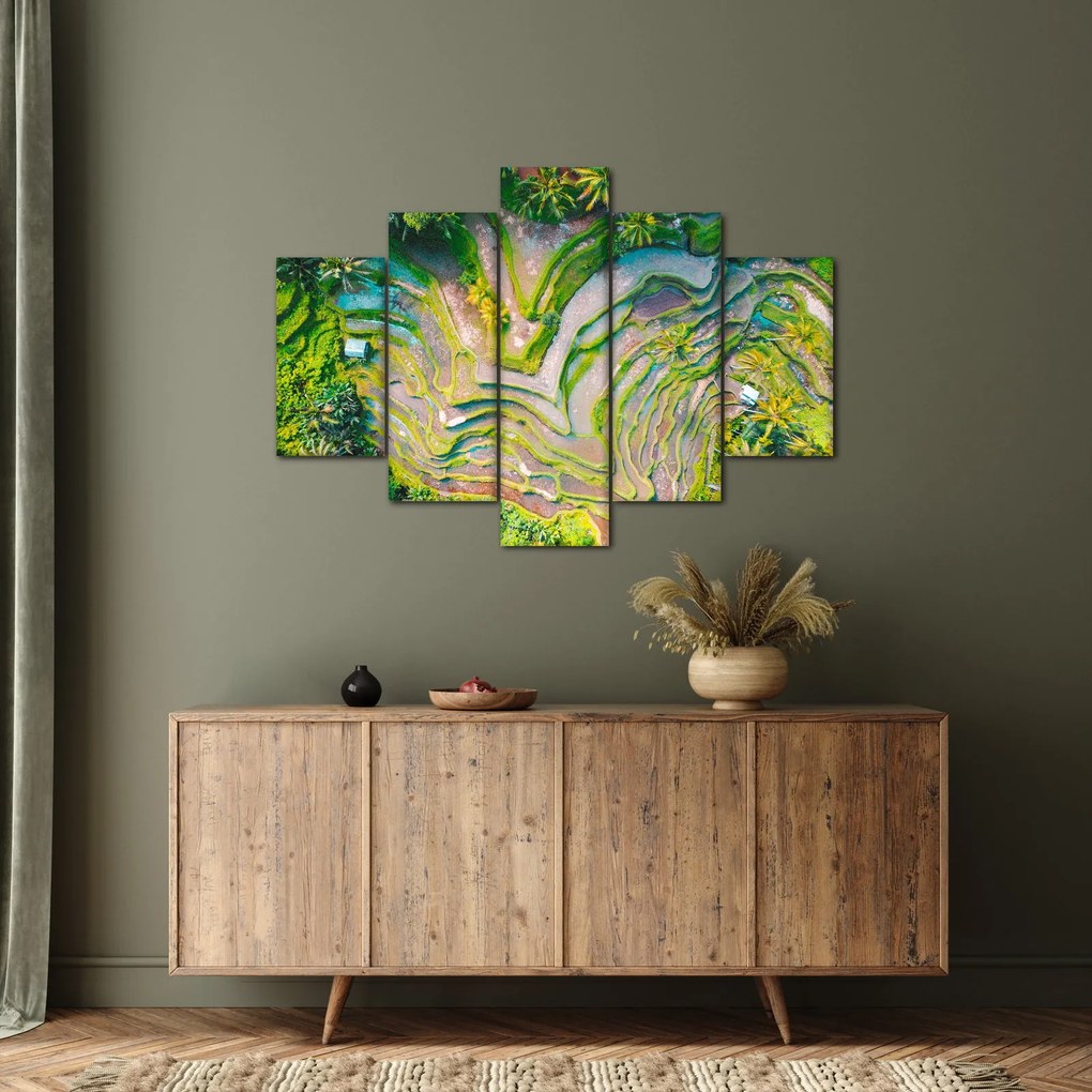 Tablou cu lanuri de orez din privire de sus (150x105 cm)