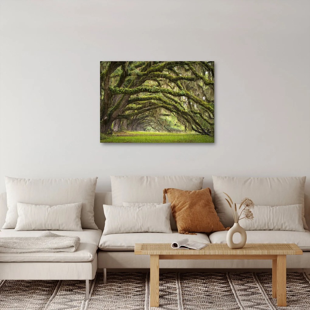 Tablou - Oaks Avenue, Charleston, Carolina de Sud, SUA (70x50 cm)