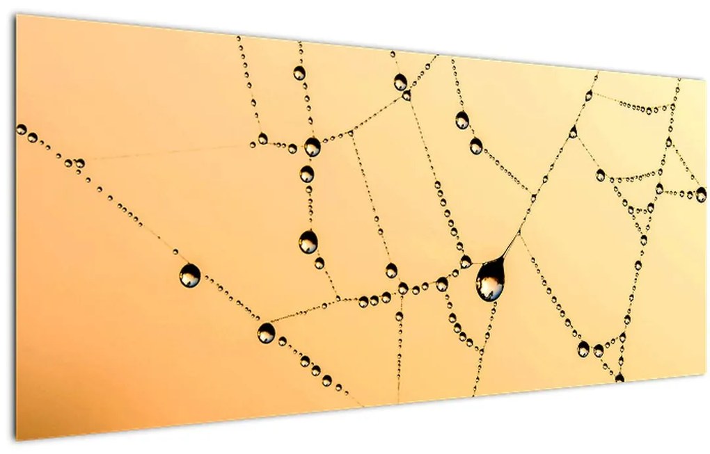 Tablou cu pânză de pâianjen cu rouă (120x50 cm)
