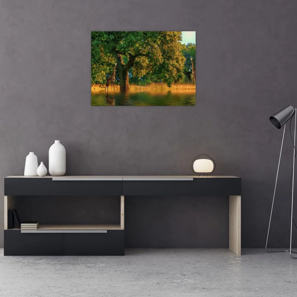 Tablou cu girafe în natură (70x50 cm)
