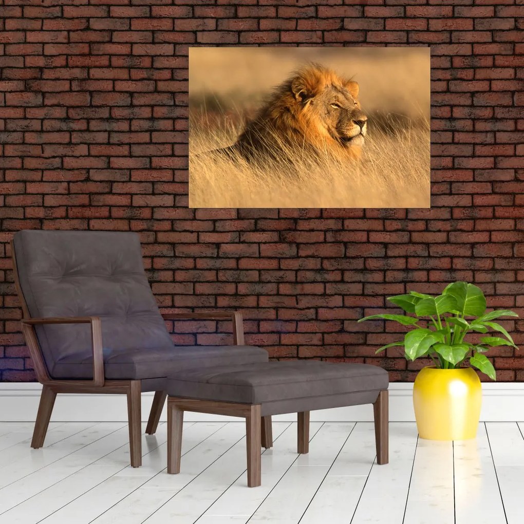 Tablou - Parcul Național Etosha (90x60 cm)