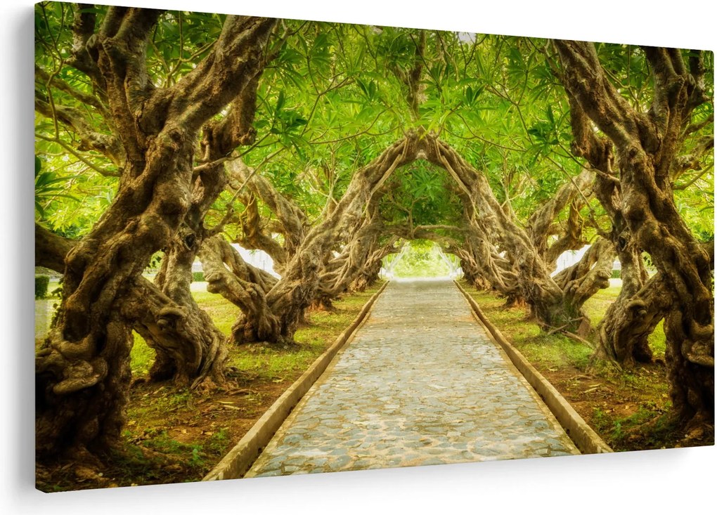 Tablou - Tunel viu din plumeria (90x60 cm)