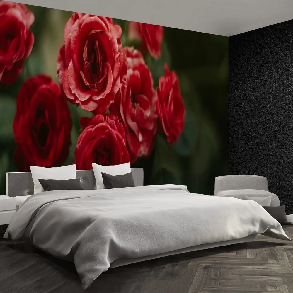 Fototapet Vintage Roses