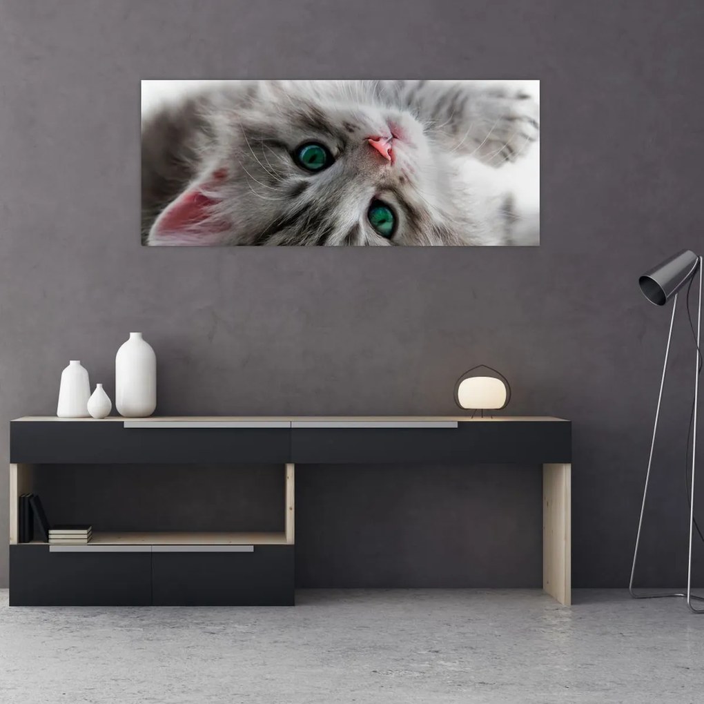 Tablou - Pisica cu ochi verzi (120x50 cm)