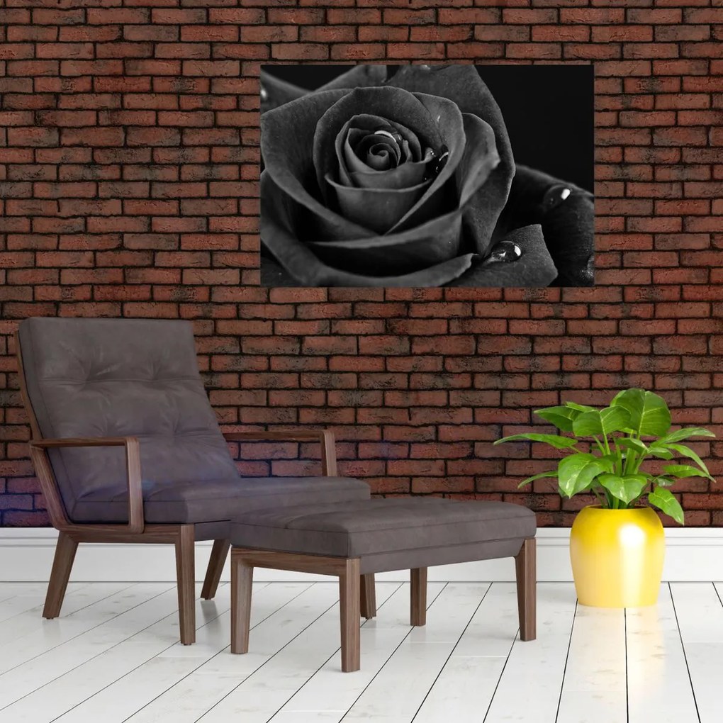 Tablou - Trandafir roșu aprins (90x60 cm)