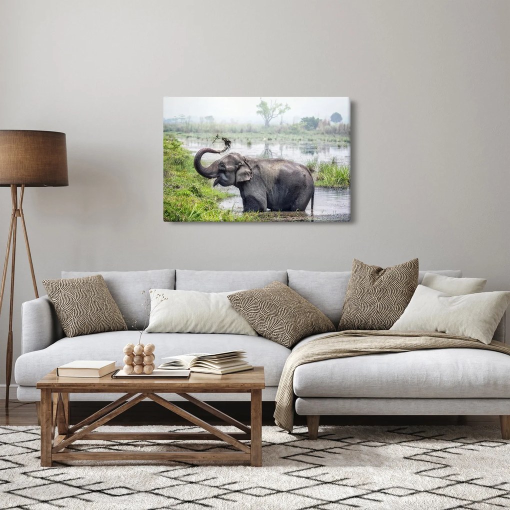 Tablou - Elefant de scăldat (90x60 cm)