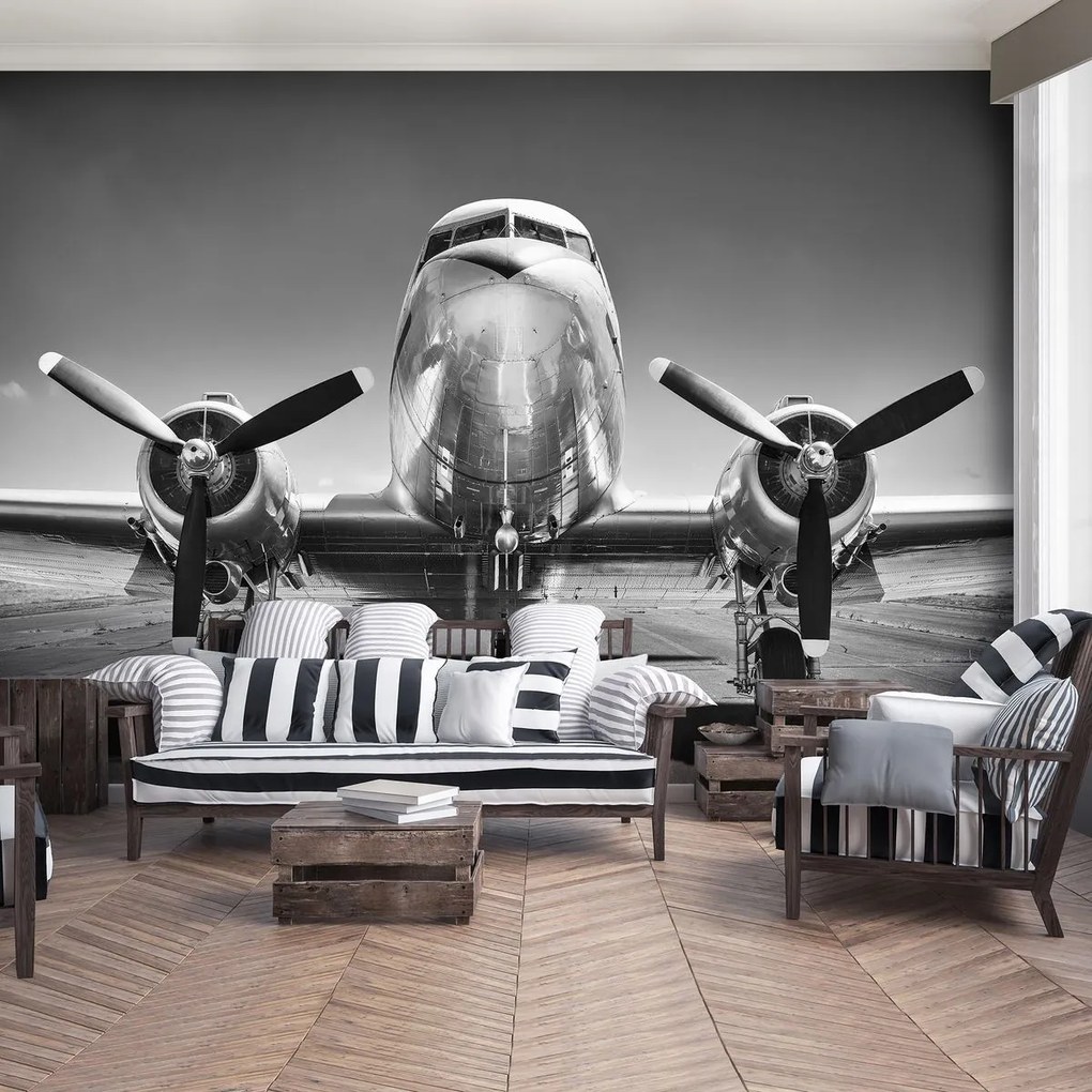 Fototapet - Avion (152,5x104 cm)