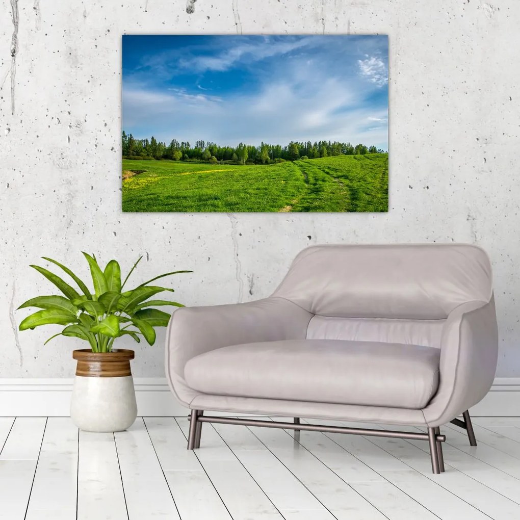 Tablou cu luncă (90x60 cm)