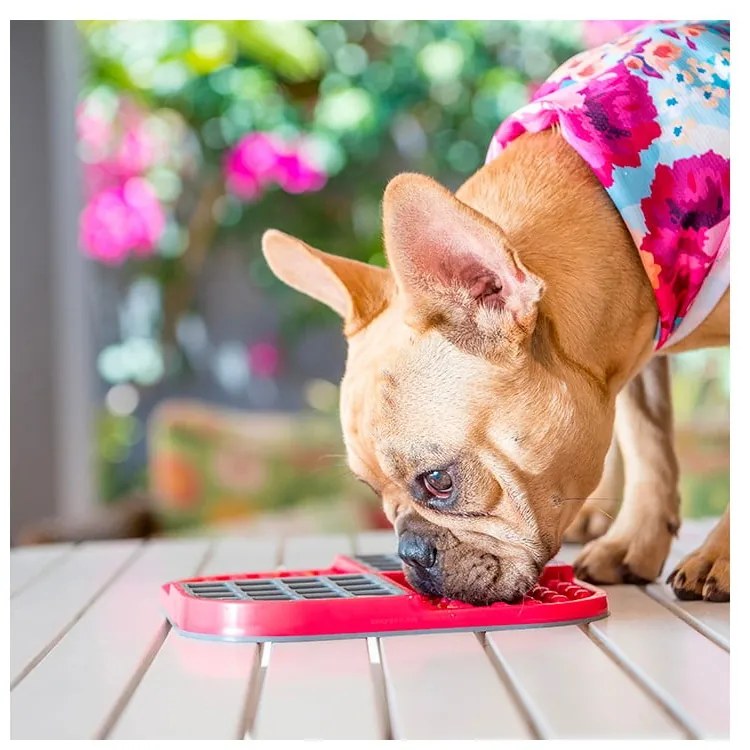 Covoraș de lins pentru animale de companie Slomo Red – LickiMat