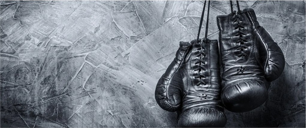 Tablou - Mănuși de box (120x50 cm)