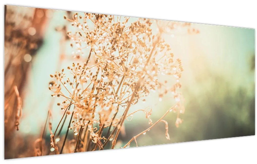 Tablou - Plante de luncă (120x50 cm)