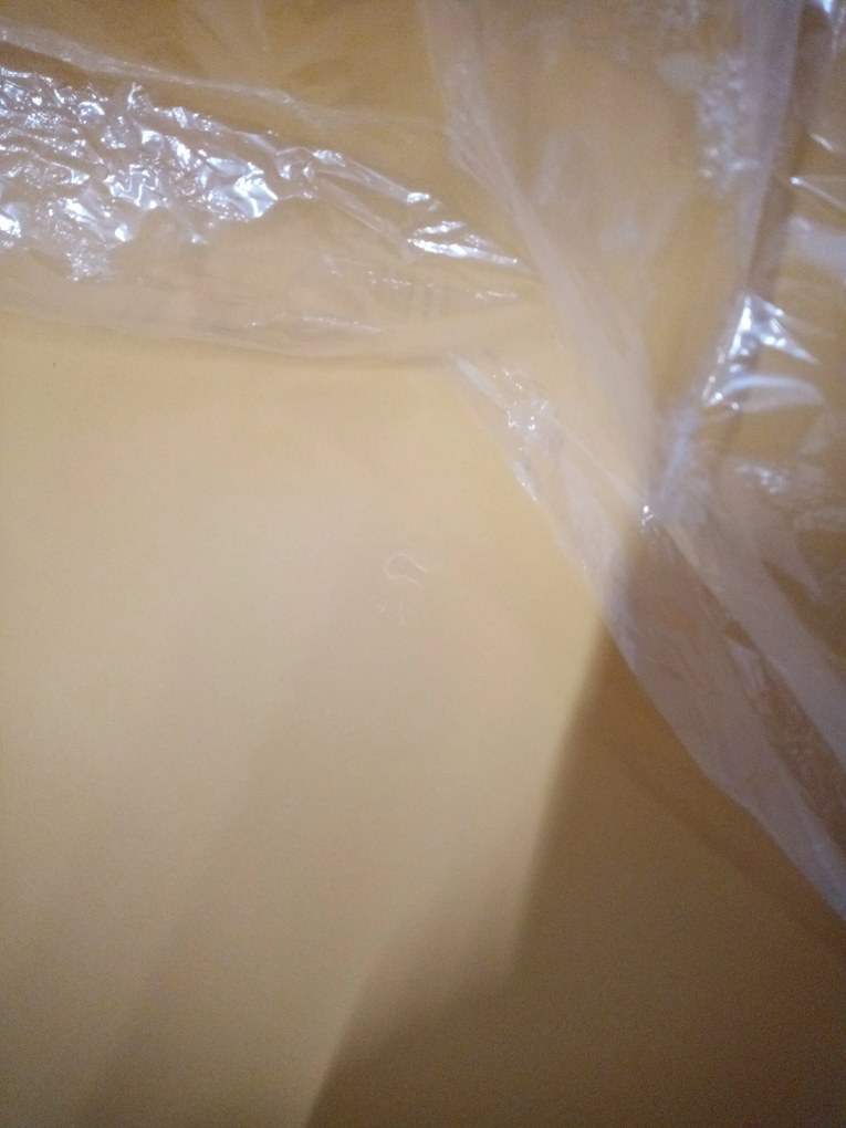 OFERTA Scaun OSAKA mustard cu picioare negre calitatea II