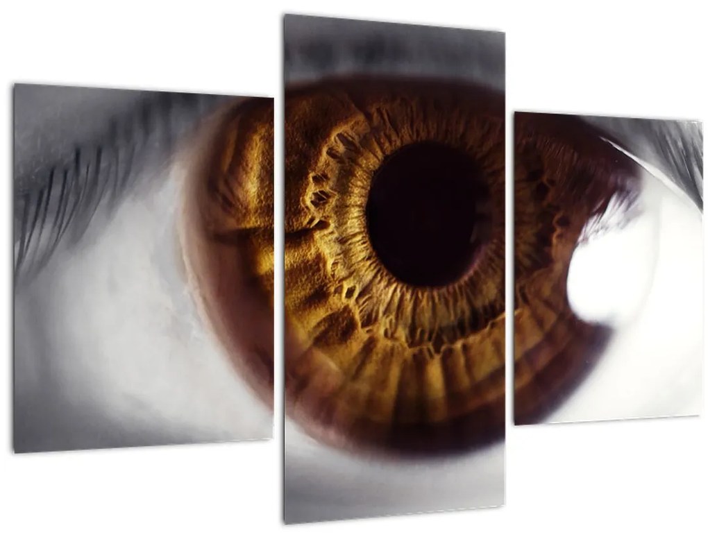 Tablou - Ochi (90x60 cm)