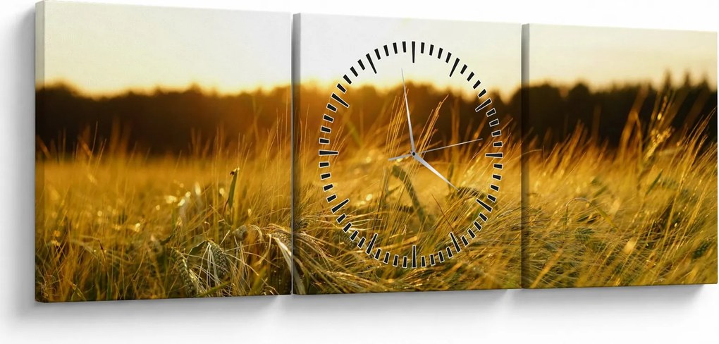 Tablou iarba cu rouă (cu ceas) (90x30 cm)