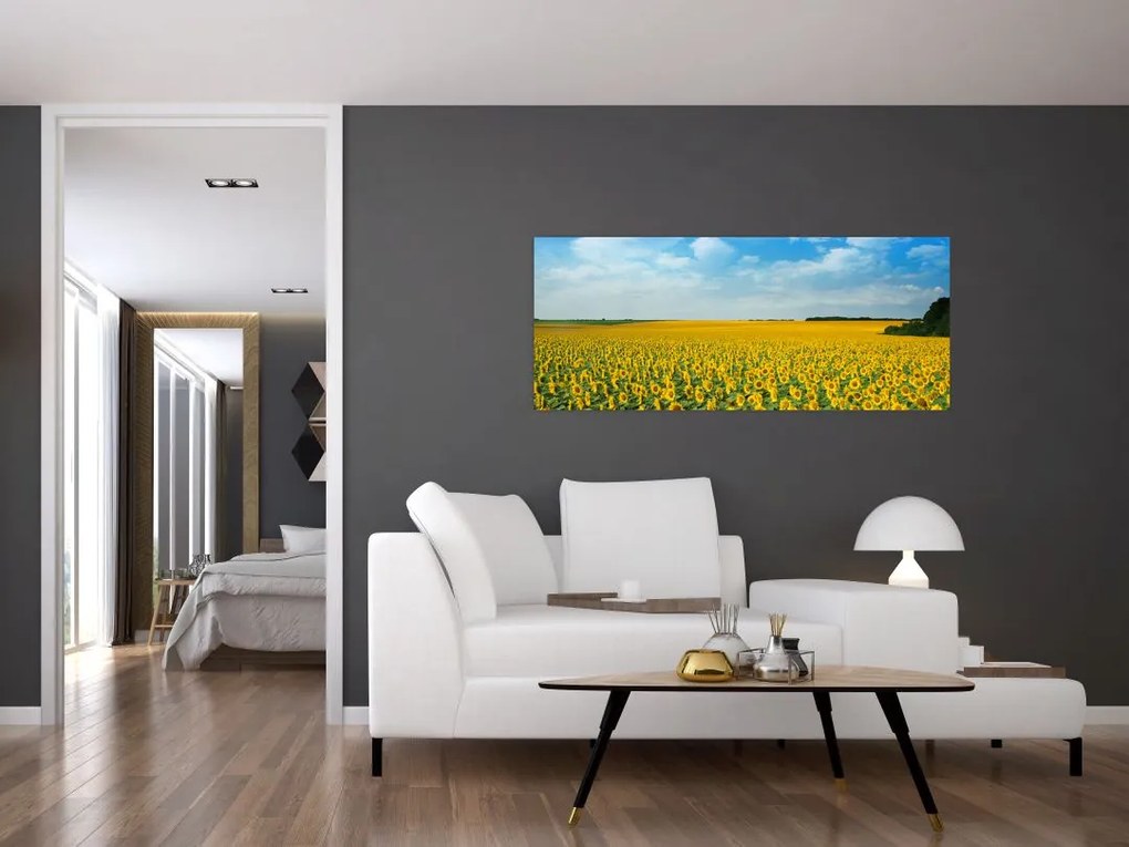 Tablou - câmp cu floarea soarelui (120x50 cm)