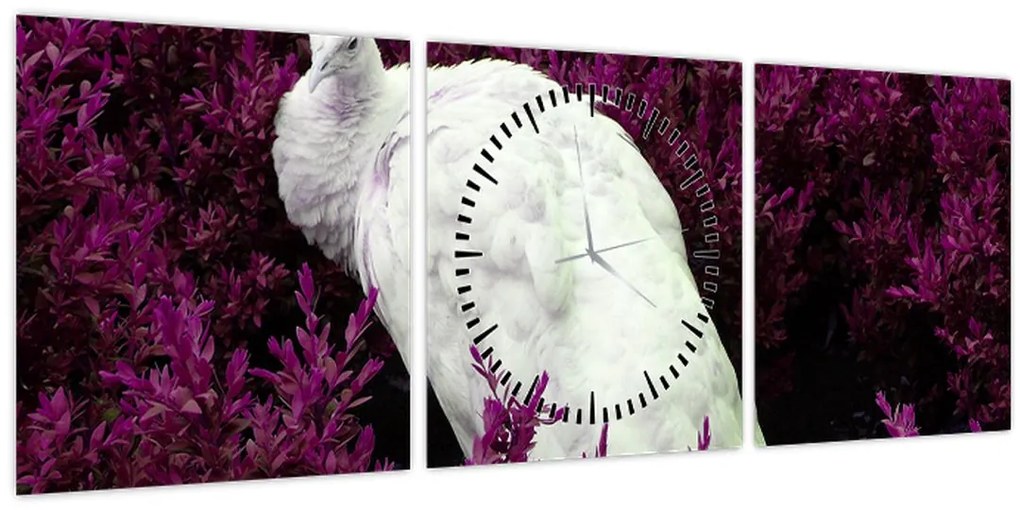 Tablou - Păun alb (cu ceas) (90x30 cm)