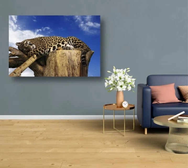 Tablouri Canvas Animale - Leopard dormind