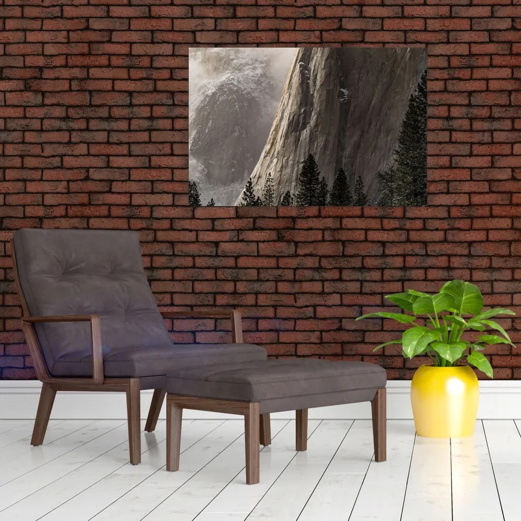 Tablou din valea Yosemite parcul național, SUA (90x60 cm)