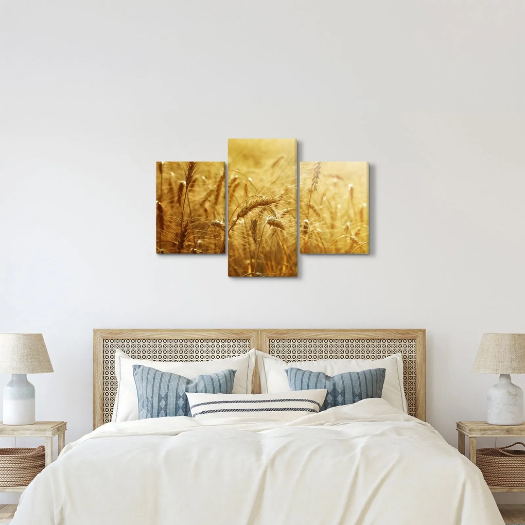 Tablou - Spice de cereale (90x60 cm)