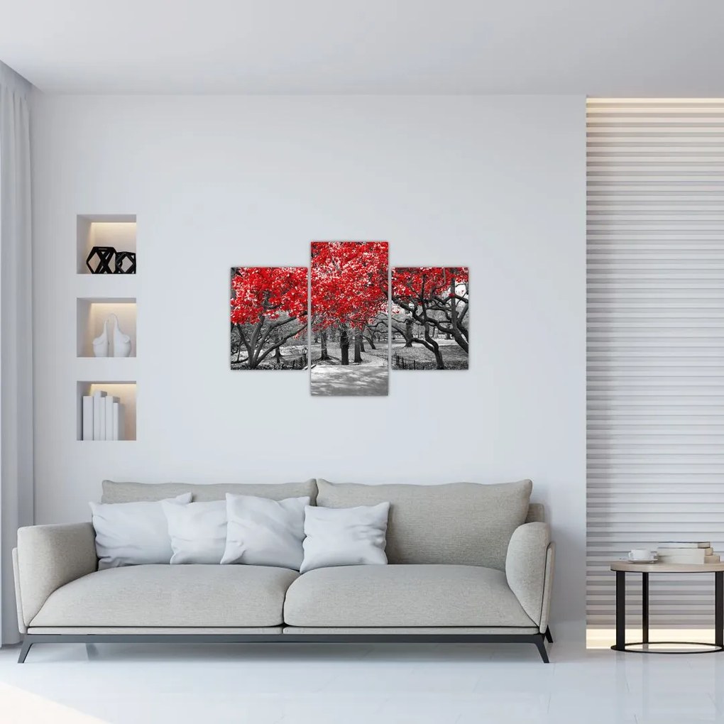 Tablou - Copaci roșii, Central Park, New York (90x60 cm)