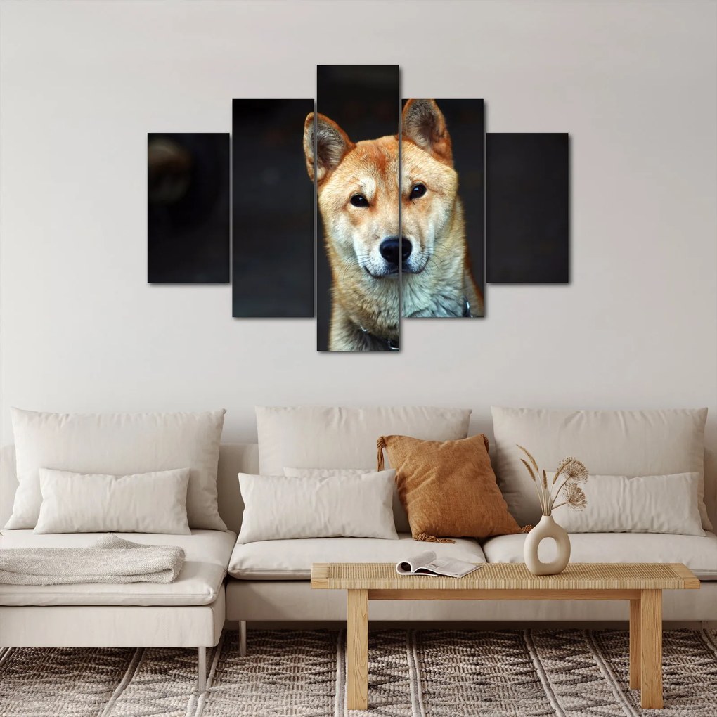 Tablou cu câine (150x105 cm)