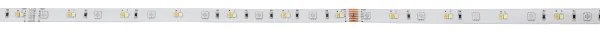 Bandă LED RGBW dimabilă 8m LED/24W/24/230V 2700-6500K Eglo 99687