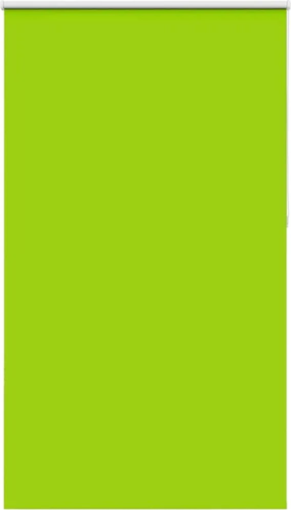 vidaXL Jaluzea cu role opace 120x210 cm Lățime material 116,6 cm