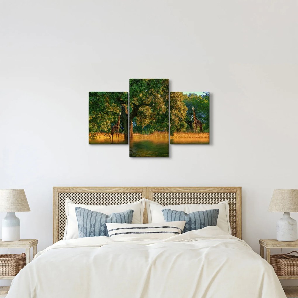 Tablou cu girafe în natură (90x60 cm)