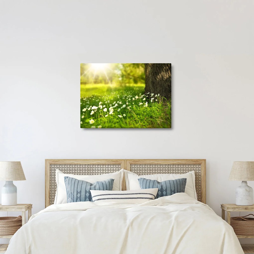Tablou cu poiana și flori (70x50 cm)