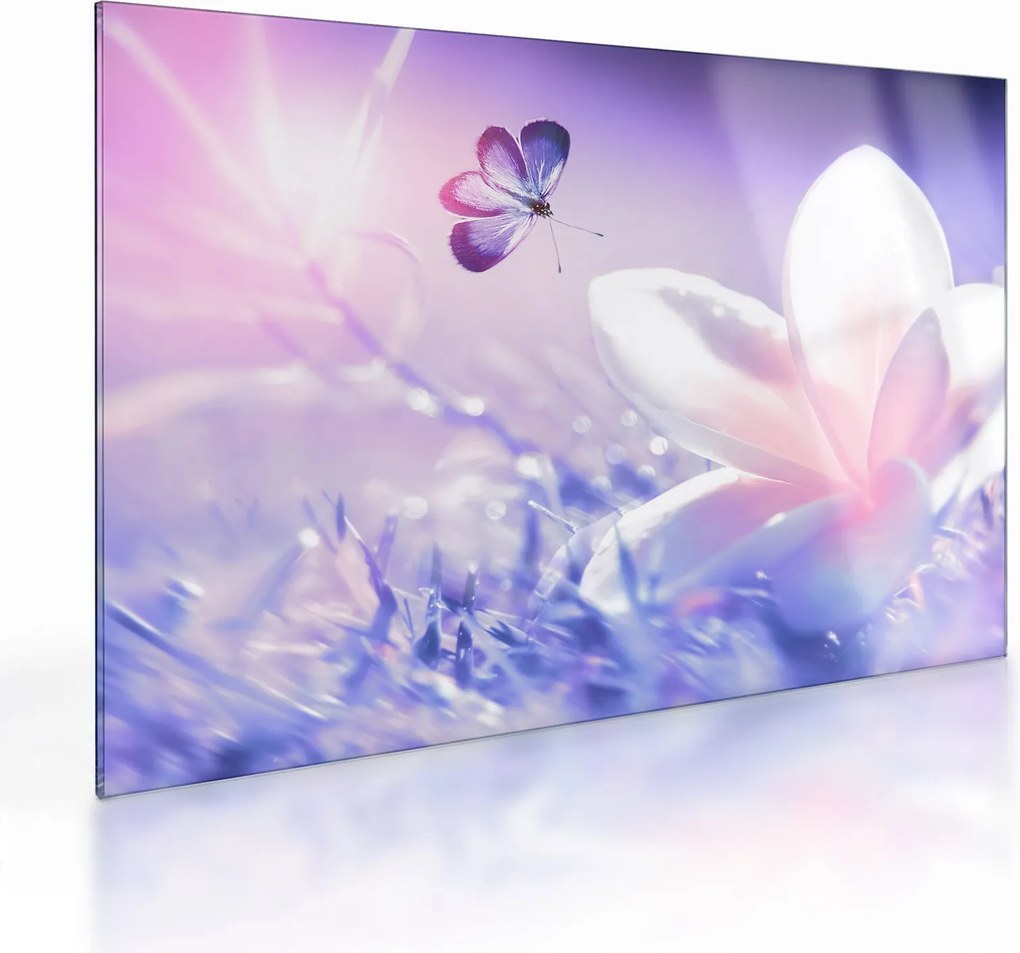 Tablou pe sticlă - Fluture lângă floare (70x50 cm)
