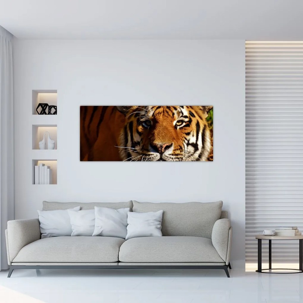 Tablou cu tigrul (120x50 cm)