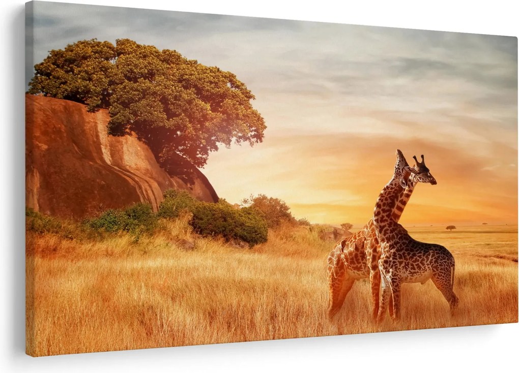 Tablou Girafe în Africa (90x60 cm)